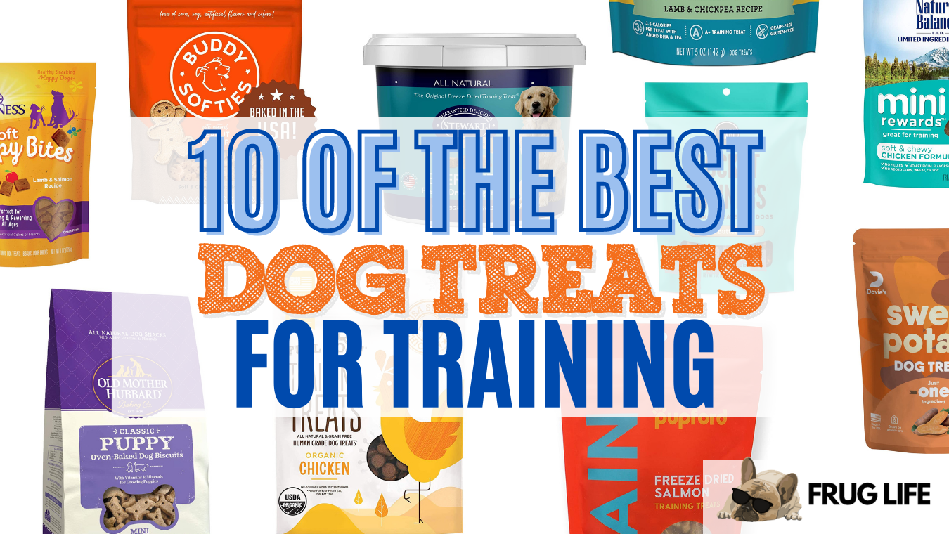 10 Of The Best Dog Treats For Training