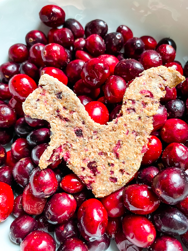 dog treat on a plate of cranberries