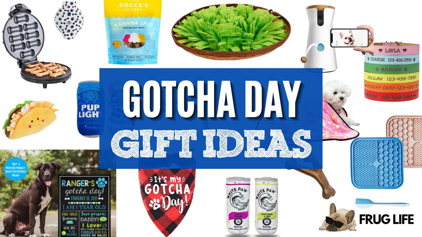 Gotcha Day Gifts – Perfect Dog Gifts For Your Dog’s Adoption Anniversary