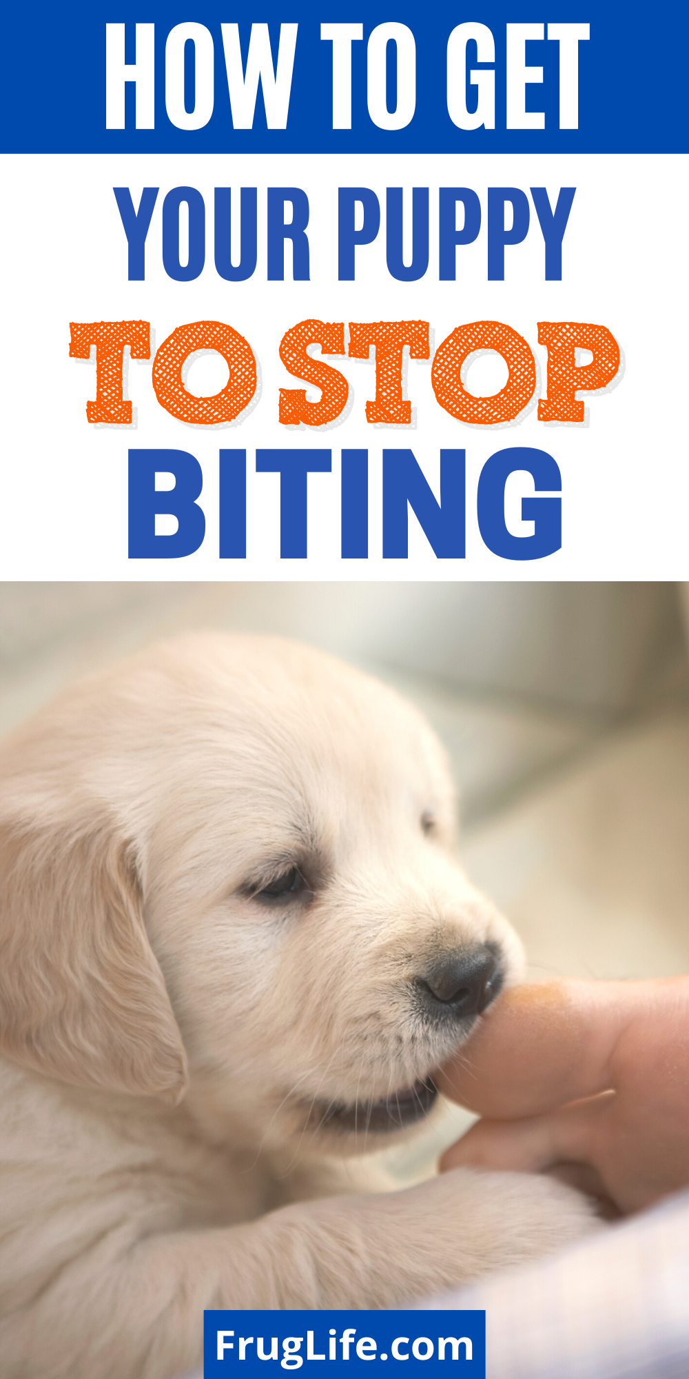 how to get your puppy to stop biting pin