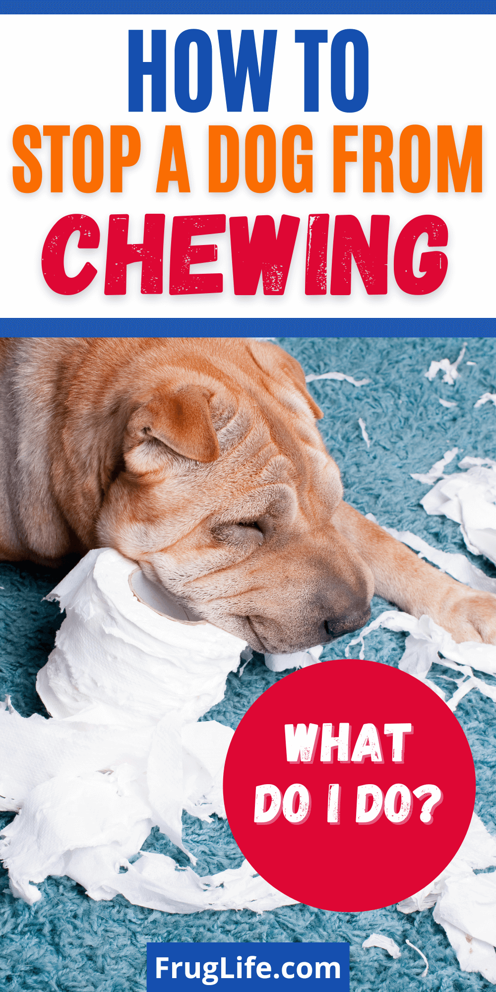 how to stop a dog from chewing pin