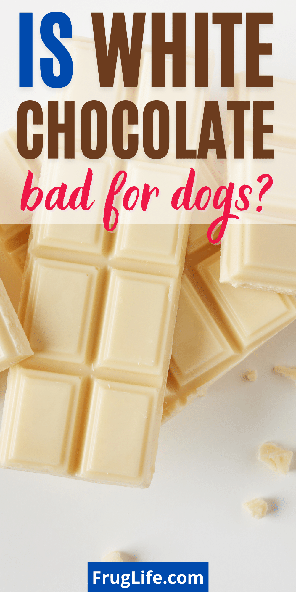 is white chocolate bad for dogs pin