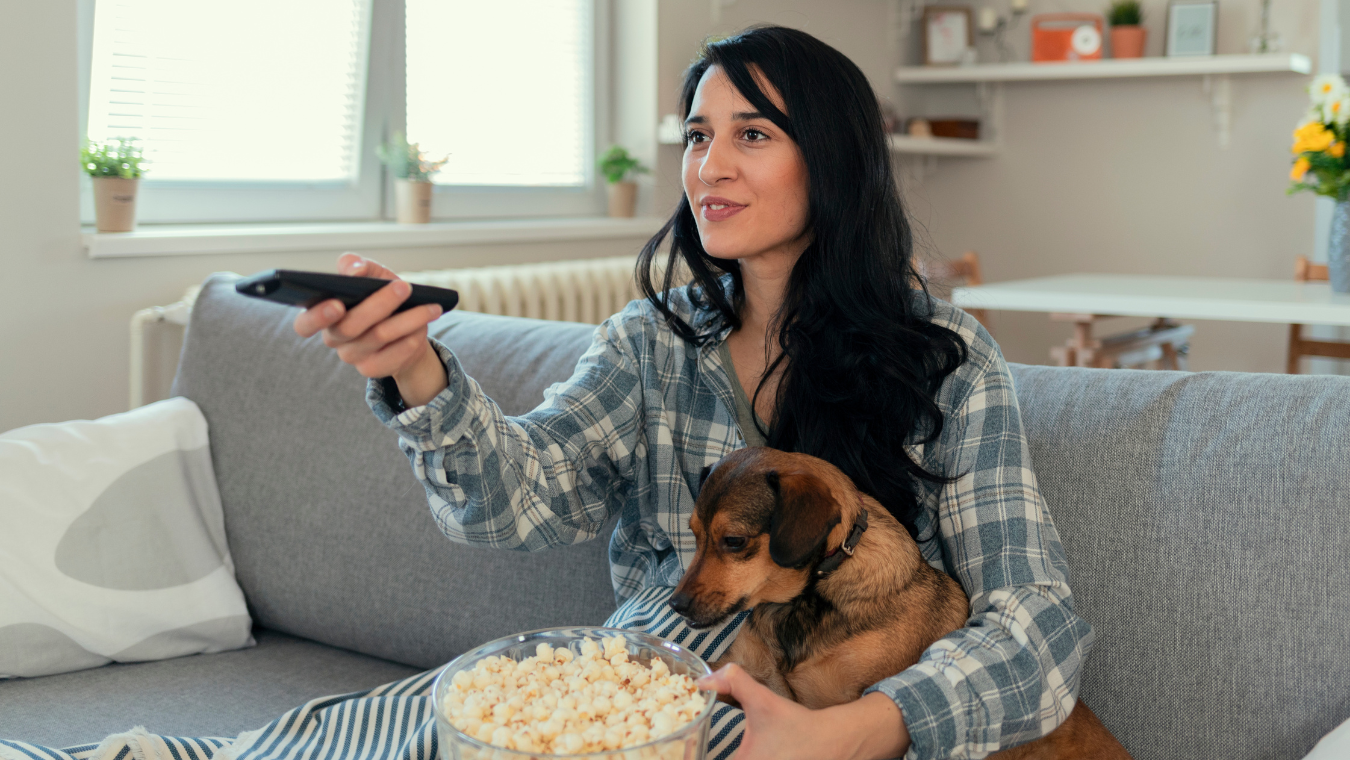 TV For Dogs: What To Leave on TV For Your Dog